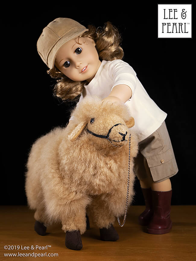 Recently, Lee & Pearl spent a fun day at the Fort Worth Stock Show and Rodeo. We learned that sheep showing is a popular 4-H project, and it was such fun seeing all the young people showing off their beautiful animals. Browsing the trade show booths, we spotted this marvelous 18 inch doll-scale alpaca fleece sheep, and set to work getting our American Girl dolls ready for a sheep show project of their own!